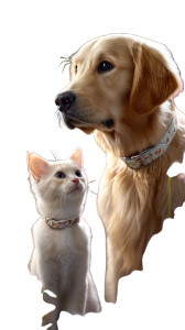 Golden Retriever And Kitten V2 Vinyl Car Decal Sticker – Waterproof & UV-Resistant 8" Golden Retriever And Kitten V2 Vinyl Car Decal Sticker – Waterproof & UV-Resistant 8"