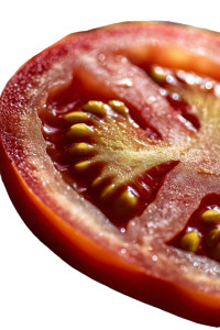 Fresh Tomato Slice Vinyl Car Decal Sticker – Waterproof & UV-Resistant 8"