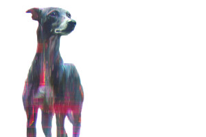 Glitch Art Dog Vinyl Car Decal Sticker – Waterproof & UV-Resistant 8"