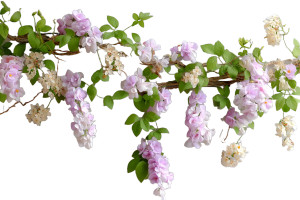 Flower Vines Wall Vinyl Car Decal Sticker – Waterproof & UV-Resistant 8"