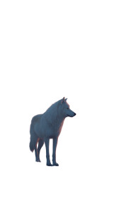 White Wolf Hill Vinyl Car Decal Sticker – Waterproof & UV-Resistant 8"