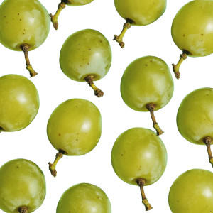 Green Grapes Vinyl Car Decal Sticker – Waterproof & UV-Resistant 8" Green Grapes Vinyl Car Decal Sticker – Waterproof & UV-Resistant 8"