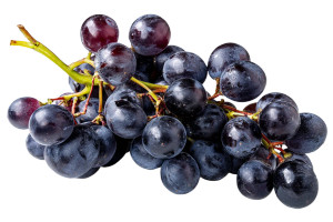 Bunch Of Grapes Vinyl Car Decal Sticker – Waterproof & UV-Resistant 8" Bunch Of Grapes Vinyl Car Decal Sticker – Waterproof & UV-Resistant 8"