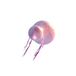 Dreamy Twin Flames Vinyl Car Decal Sticker – Waterproof & UV-Resistant 8"