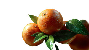 Vibrant Oranges Arrangement V2 Vinyl Car Decal Sticker – Waterproof & UV-Resistant 8"