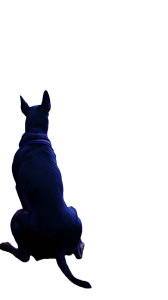 Doberman On Moon Vinyl Car Decal Sticker – Waterproof & UV-Resistant 8"