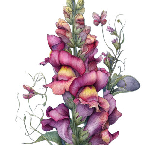 Snapdragon Watercolour Vinyl Car Decal Sticker – Waterproof & UV-Resistant 8"