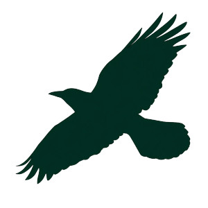 Flying Raven V2 Vinyl Car Decal Sticker – Waterproof & UV-Resistant 8"