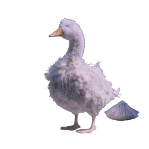 Goose Brush Hybrid Vinyl Car Decal Sticker – Waterproof & UV-Resistant 8"