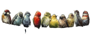 Colorful Birds Perched Vinyl Car Decal Sticker – Waterproof & UV-Resistant 8" Colorful Birds Perched Vinyl Car Decal Sticker – Waterproof & UV-Resistant 8"