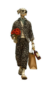 Stylish Dalmation Beachgoer Vinyl Car Decal Sticker – Waterproof & UV-Resistant 8"