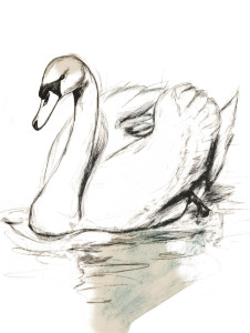 Graceful Swan Gliding Vinyl Car Decal Sticker – Waterproof & UV-Resistant 8" Graceful Swan Gliding Vinyl Car Decal Sticker – Waterproof & UV-Resistant 8"