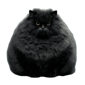 Fluffy Obese Cat Vinyl Car Decal Sticker – Waterproof & UV-Resistant 8"