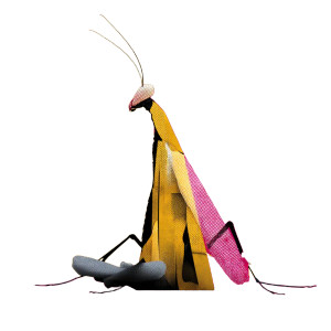 Mantis Yoga Vinyl Car Decal Sticker – Waterproof & UV-Resistant 8"