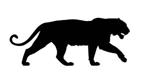 Majestic Tiger Silhouette Vinyl Car Decal Sticker – Waterproof & UV-Resistant 8"