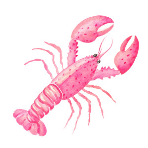 Pink Lobster Art Vinyl Car Decal Sticker – Waterproof & UV-Resistant 8"