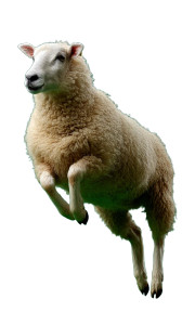 Jumping White Sheep Vinyl Car Decal Sticker – Waterproof & UV-Resistant 8"