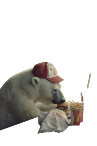 Lonely Polar Bear Vinyl Car Decal Sticker – Waterproof & UV-Resistant 8"