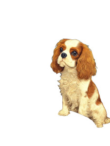 Spaniel Puppy Tea Vinyl Car Decal Sticker – Waterproof & UV-Resistant 8"