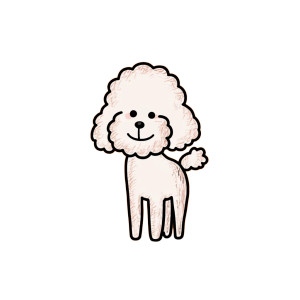 Cute Toy Poodle Vinyl Car Decal Sticker – Waterproof & UV-Resistant 8"