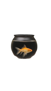 Goldfish In Suit V3 Vinyl Car Decal Sticker – Waterproof & UV-Resistant 8"