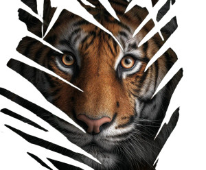 Intense Tiger Gaze V2 Vinyl Car Decal Sticker – Waterproof & UV-Resistant 8" Intense Tiger Gaze V2 Vinyl Car Decal Sticker – Waterproof & UV-Resistant 8"