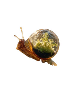 Terrarium Snail Vinyl Car Decal Sticker – Waterproof & UV-Resistant 8"