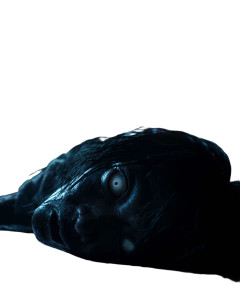 Terrified Sleeper Encounter Vinyl Car Decal Sticker – Waterproof & UV-Resistant 8" Terrified Sleeper Encounter Vinyl Car Decal Sticker – Waterproof & UV-Resistant 8"
