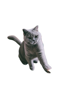 Affectionate Cat Scene Vinyl Car Decal Sticker – Waterproof & UV-Resistant 8"