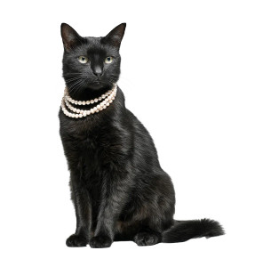 Pearl-Adorned Cat Vinyl Car Decal Sticker – Waterproof & UV-Resistant 8"