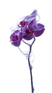 Purple Orchid Mist Vinyl Car Decal Sticker – Waterproof & UV-Resistant 8"