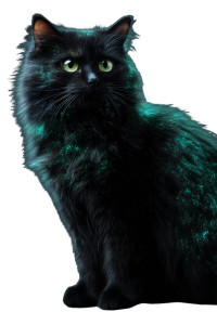 Bioluminescent Black Cat Vinyl Car Decal Sticker – Waterproof & UV-Resistant 8"
