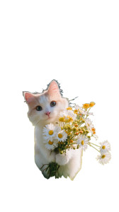 Chubby Flower Cat V2 Vinyl Car Decal Sticker – Waterproof & UV-Resistant 8"