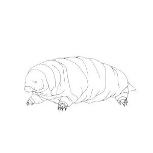 Minimalist Tardigrade Vinyl Car Decal Sticker – Waterproof & UV-Resistant 8"