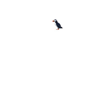Vibrant Puffin Perched V2 Vinyl Car Decal Sticker – Waterproof & UV-Resistant 8"