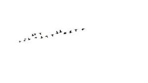 Migrating Birds Vinyl Car Decal Sticker – Waterproof & UV-Resistant 8"