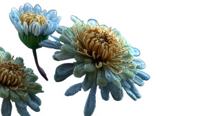 Bioluminescent Chrysanthemums Vinyl Car Decal Sticker – Waterproof & UV-Resistant 8"