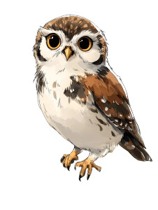 Baby Owl Painting Vinyl Car Decal Sticker – Waterproof & UV-Resistant 8" Baby Owl Painting Vinyl Car Decal Sticker – Waterproof & UV-Resistant 8"