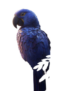 Exotic Blue Parrot Vinyl Car Decal Sticker – Waterproof & UV-Resistant 8"