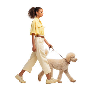 Woman With Poodle V2 Vinyl Car Decal Sticker – Waterproof & UV-Resistant 8"