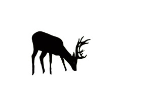 Forest Deer Scene Vinyl Car Decal Sticker – Waterproof & UV-Resistant 8"