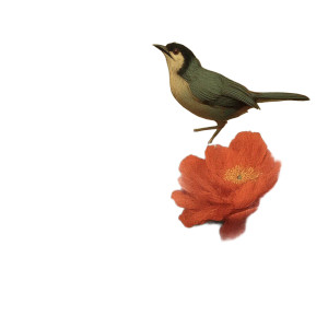 Bird With Peonies Vinyl Car Decal Sticker – Waterproof & UV-Resistant 8" Bird With Peonies Vinyl Car Decal Sticker – Waterproof & UV-Resistant 8"