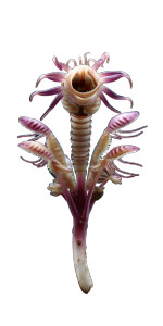 Bioluminescent Alien Plant Vinyl Car Decal Sticker – Waterproof & UV-Resistant 8"