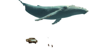 Sky Whale V2 Vinyl Car Decal Sticker – Waterproof & UV-Resistant 8"