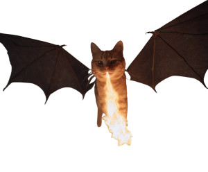 Fiery Winged Cat Vinyl Car Decal Sticker – Waterproof & UV-Resistant 8"