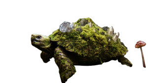 Ancient Forest Turtle Vinyl Car Decal Sticker – Waterproof & UV-Resistant 8"