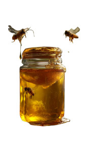 Honey Jar Bees Vinyl Car Decal Sticker – Waterproof & UV-Resistant 8" Honey Jar Bees Vinyl Car Decal Sticker – Waterproof & UV-Resistant 8"
