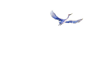 Blue-Purple Flying Crane Vinyl Car Decal Sticker – Waterproof & UV-Resistant 8"