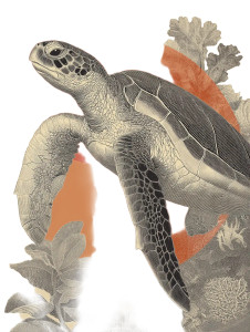 Giant Sea Turtle V3 Vinyl Car Decal Sticker – Waterproof & UV-Resistant 8"