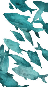 Turquoise Underwater Fishes Vinyl Car Decal Sticker – Waterproof & UV-Resistant 8"